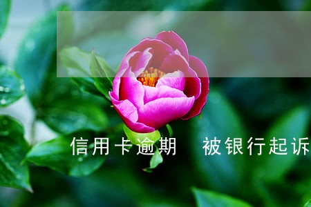 信用卡逾期 被银行起诉 信用卡逾期 被银行起诉